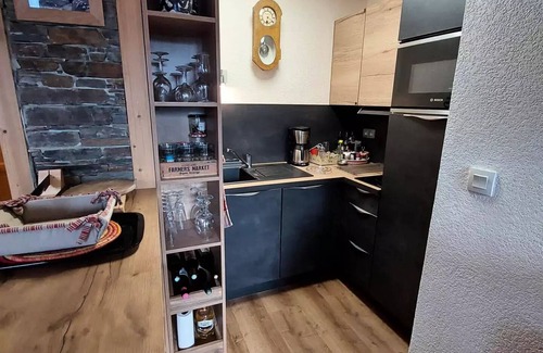 Les Deux Alpes Apartment | Charming T3, breathtaking view