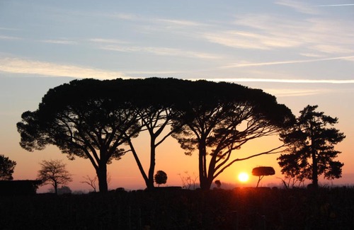 Moulis-en-Medoc Bed & Breakfast | CHASSE-SPLEEN Les Chambres