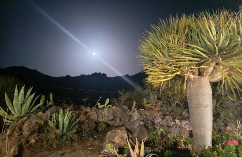 Buenavista del Norte House | CHC - Casa Rural Dracaena