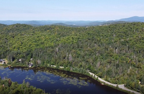 Saint-Faustin-Lac-Carre Ski Chalet | Cheerful Chalet near Mont-tremblant