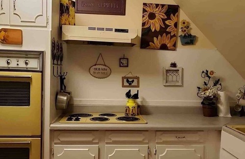 Old North Knoxville Apartment | Cheery Retro: Near Downtown Fun/5 Miles to UT!
