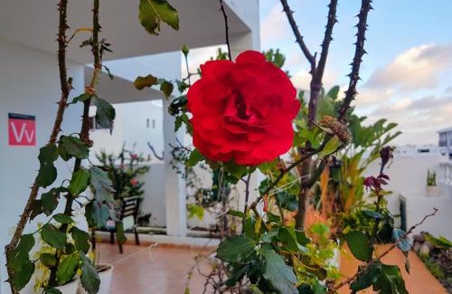 Arrieta House | Chelada 2