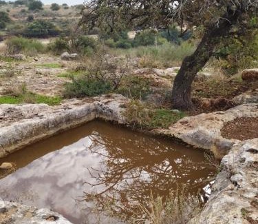 Kahal Resort | Chen Ba'Galil