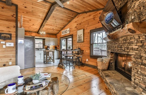 Blue Ridge House | Cherry Log Sky Bear | Cherry Log, GA