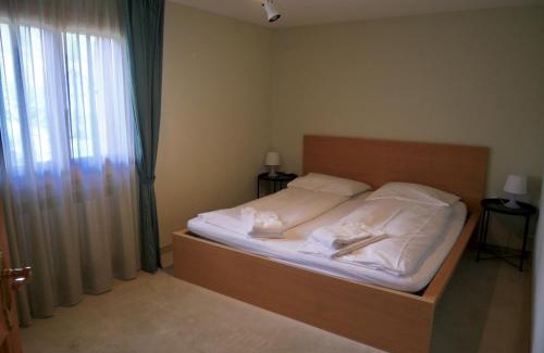 Celerina-Schlarigna Apartment | Chesa Fuolla Rosa - Celerina