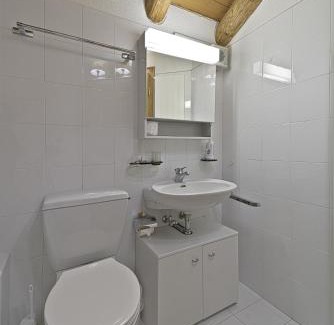 Celerina-Schlarigna Apartment | Chesa Suvretta - Celerina