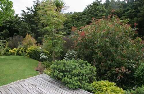 Kaeo House | Chestnut Cottage