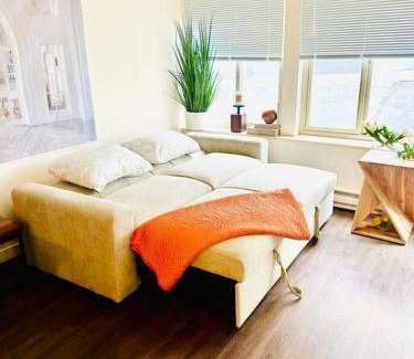 University District Apartment | Chez Alphonse