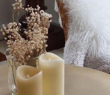 Marly-le-Roi Apartment | Chez Laurette - Charming apartment in historic village near Versailles