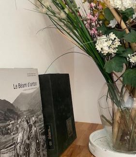 Monein House | Chez Luje