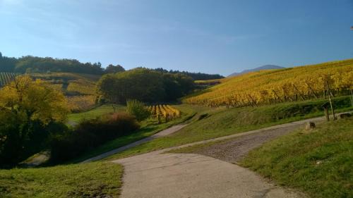 Nothalten Bed & Breakfast | Chez Yolande
