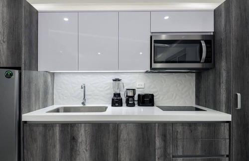 Luis Donaldo Colosio Apartment | Chhavi: Luxury 1 Bdrm, great ocean view from roof Dk52 22 vikas
