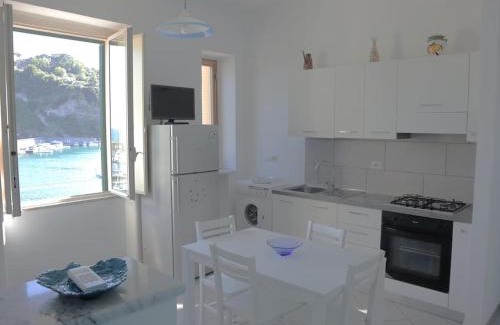 Succhivo Apartment | Chiaiolella Sea view