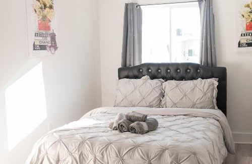 Peak's Suburban Addition Apartment | Chic Champagne 1BR1BA-Central Dallas Retreat