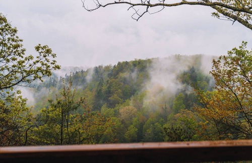 Rogers Cabin | 'Chickadee' - One of our cute and tidy Lookout Cabins