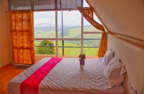 Elappara House | Chill mount vagamon