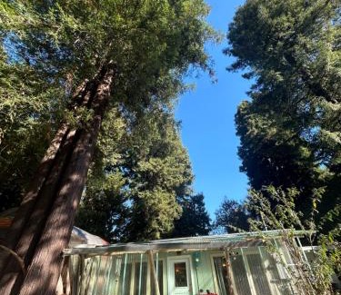Almont House | Chillshack