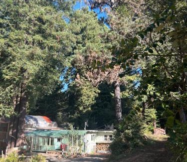 Almont House | Chillshack