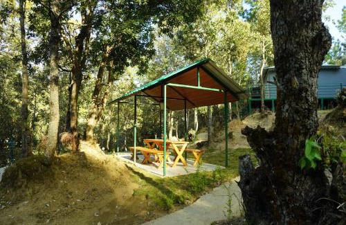 Turkaura Other | Chinar Luxury Tent Retreat in Majkhali