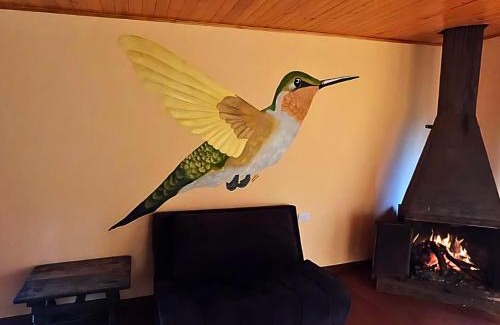 Choachi Ski Chalet | Choachi casa colibri