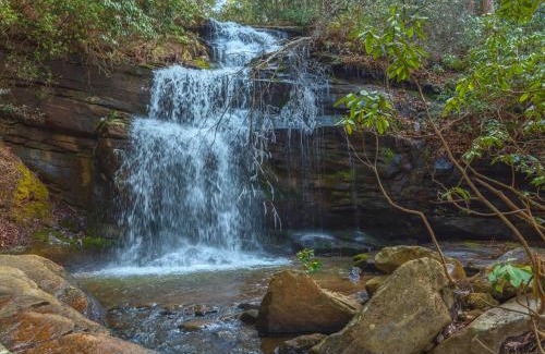 Old Fort House | Christmas Tree Cabin Secluded Asheville Area Log Cabin with a View!
