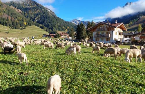 San Giovanni di Fassa Apartment | Ciasa Rasom