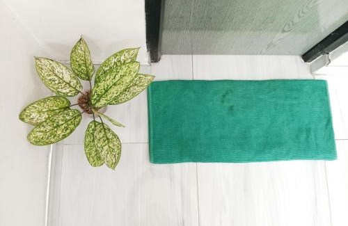 Pelena House | cinometra