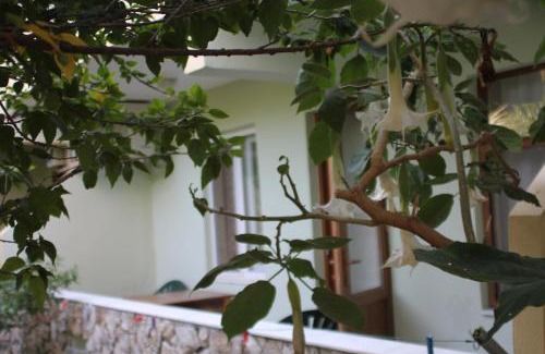 Cirali Hotel | Cirali Hotel