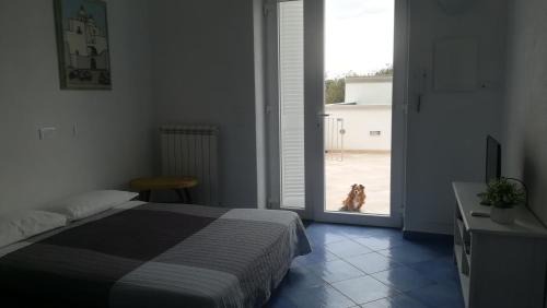 Forio House | Citara mare