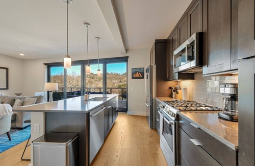 Downtown Asheville Condo | City and Mountain Views with Spacious Balcony