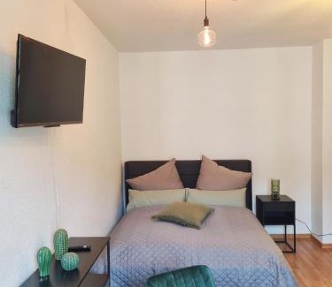 Plauen Apartment | City Apartment Dresden