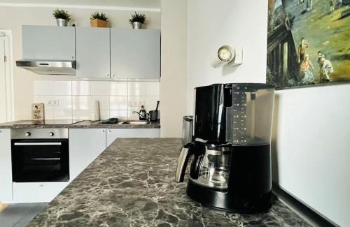 Wilsdruffer Vorstadt/Seevorstadt-West Apartment | City-Apartment im Herzen der Dresdner Altstadt