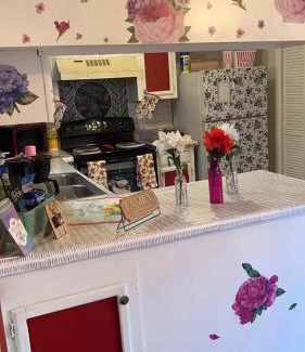 Shenandoah House | City Center Home ONeal lane
