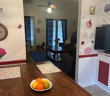 Shenandoah House | City Center Home ONeal lane