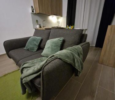 Timisoara Apartment | City Forest - Apartament modern lângă Timișoara