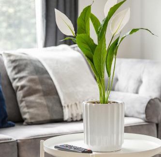 St. Dunstan's House | City Gem - 2 Bed House, 6 mins from Liverpool Street, Shops & Restaurants