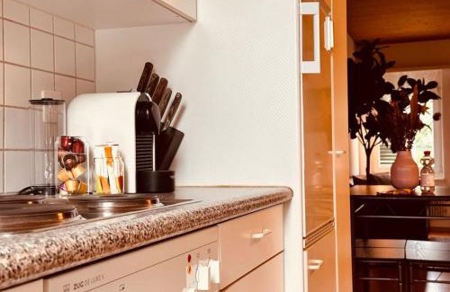 Bumpliz Apartment | City Vibe Apartment