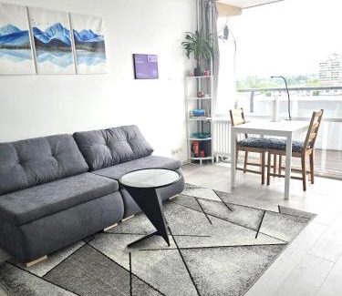 Offenbach am Main Apartment | City View
