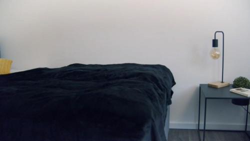 Rothenfelde Apartment | CityStay Wolfsburg - Beetle