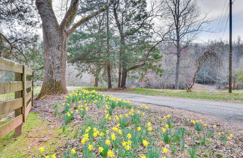 Clarkesville Cottage | Clarkesville 'rustic Hideaway' on 38-acre Farm!