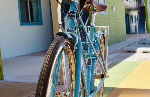 Midtown Hotel | Classen Inn