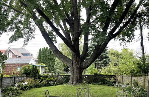 Ellis Historical District House | Classic brick charmer close to lake, river, and downtown!