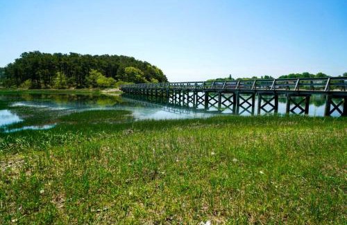 Wellfleet House | Classic Cape Great Location Dog Welcome