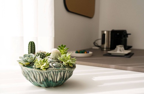 Santiago de Compostela Apartment | Classic Studio Apartment