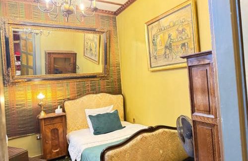 Cluj-Napoca City Centre Apartment | Classic Love Story in Old Cluj III