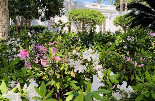 Sea Island House | Classic Marshfront Sea Island Cottage! Huge Game Room! Steps to The Beach! BIKES