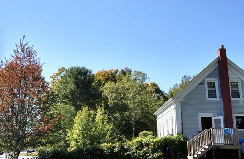 Freeport Apartment | Clean, cozy apartment, 5-minute walk to downtown Freeport.