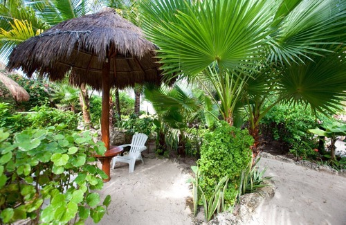 Centro - Supmza 001 Condo | Clean, Immaculate Beachfront 2nd Floor Condo #17 at Nautibeach