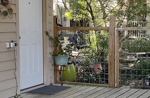 Galveston Apartment | Close to beach and amenities - for one or two.