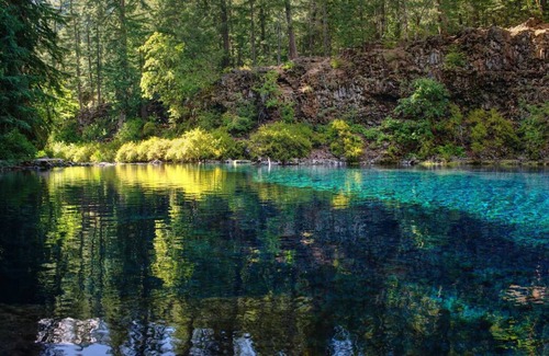 Lake Forest House | Close to Downtown Portland, Lake Oswego & 1-5 Corridor! Onsite Parking, Pool!